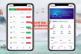 AI量化/多语言海外贵金属源码/外汇源码/期货源码
