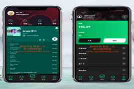 多语言音乐刷单系统/海外音乐刷单抢单/策略组派单/打针等等/前端uniapp
