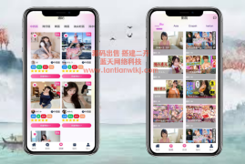 新版多语言vue开发空降源码空降系统